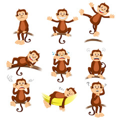 Naklejka premium Monkey with different expression