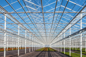 Partly empty greenhouse against a blue sky