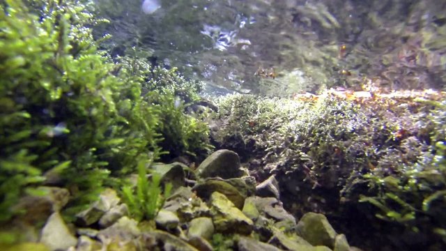 Underwater mountain river