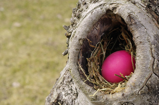 Frohe Ostern!