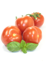tomates et basilic