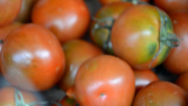 Tomaten