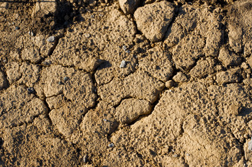 Dry earth surface