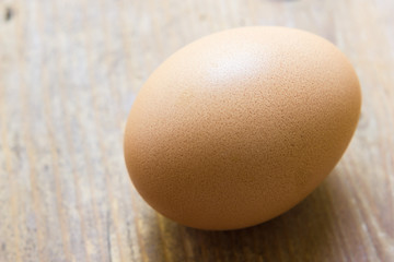 Egg