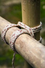 Square lashing by scouts