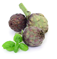 Obraz premium Basilikum