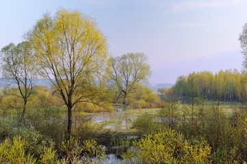 High Water in Spring