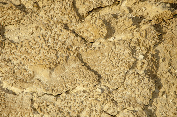 Soil background