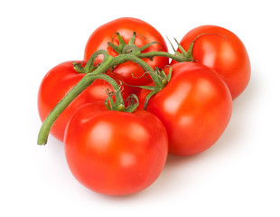 tomato branch