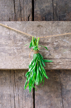 A bunch of fresh tarragon on the wooden background