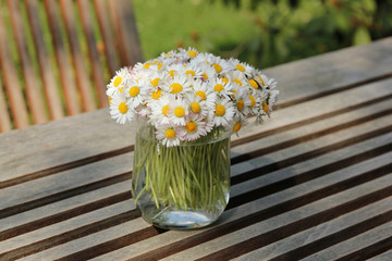 Gänseblümchen  im Wasserglas auf Holztisch