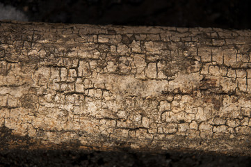 Wooden background