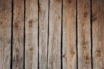 Fototapeta premium Wood texture