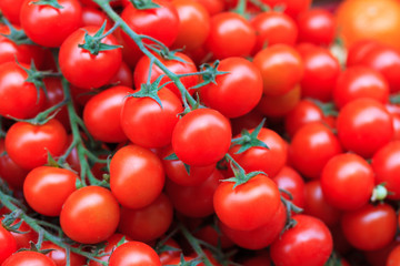 vegetables at the market