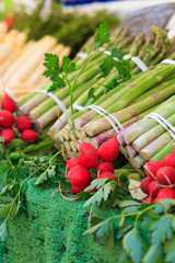 vegetables at the market