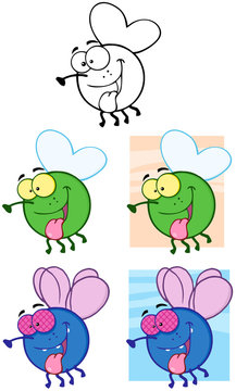 Fly Cartoon Mascot Characters.Collection