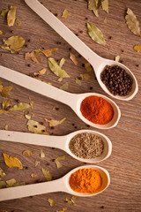 spices on spoons