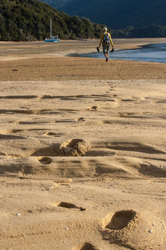 man walking along Awaroa River in Abel Tasman
