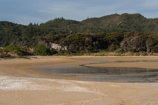 Awaroa bay at low tide, Abel Tasman National Park