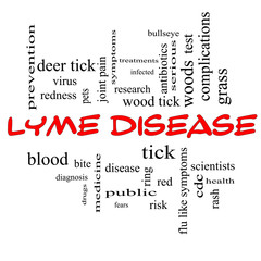 Lyme Disease Word Cloud Concept in red caps