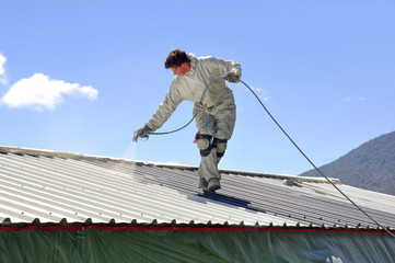 painting the roof - 52188379