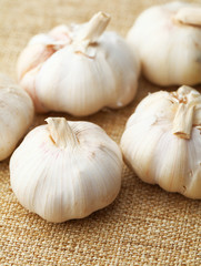 Garlic