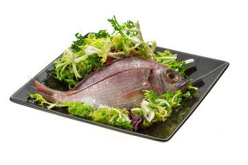 Raw Sea Perch
