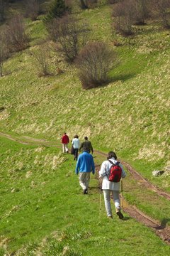 randonn&eacute;e dans les vosges
