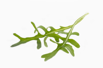 Rucola auf wei&szlig;em Hintergrund