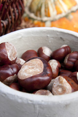 Herbst Dekoration