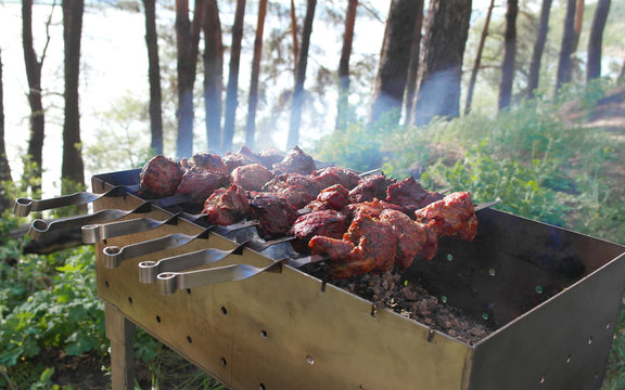 shish kebab barbecue on  nature.