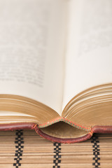 Closeup of open old vintage novel