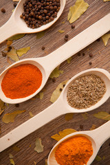 spices - pepper, curry, chilli, caraway