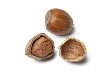 Single Hazelnut and a cracked one