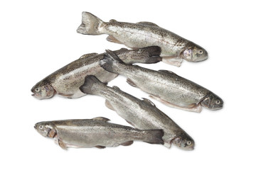 Fresh cleaned trouts