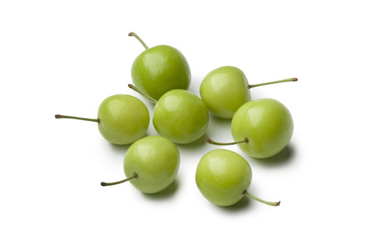 Can Erik plums