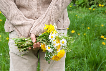wild flowers