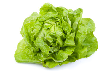 fresh lettuce