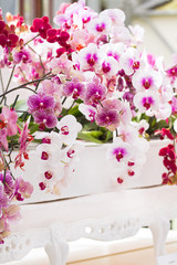 Arrangement colorful moth orchids