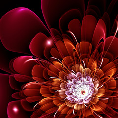 red fractal flower