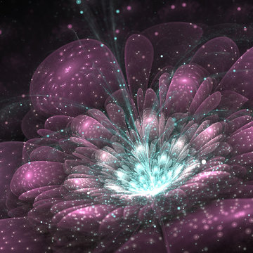 Fototapeta purple fractal flower