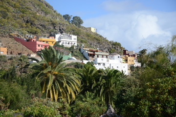 Dragonal, Gran Canaria