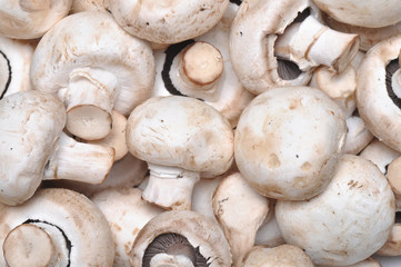 mushrooms background