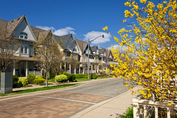 Houses on residential street in spring