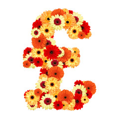 Pound sign of gerber flower isolated on white background
