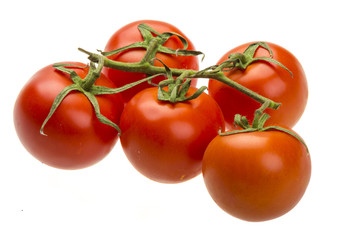 Red ripe tomatoes on the branch