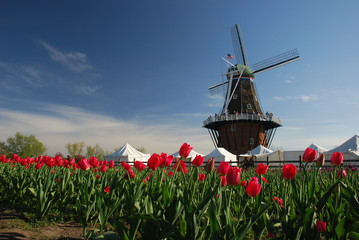 Windmill