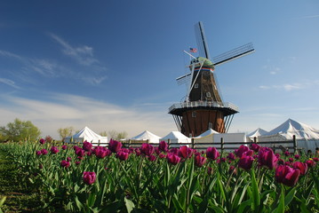 Windmill