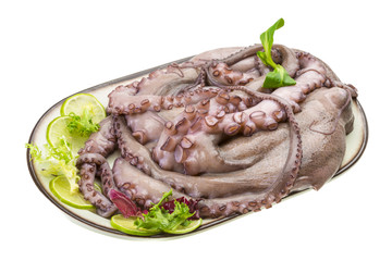 Raw large octopus
