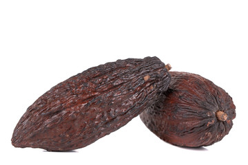 cocoa fruit